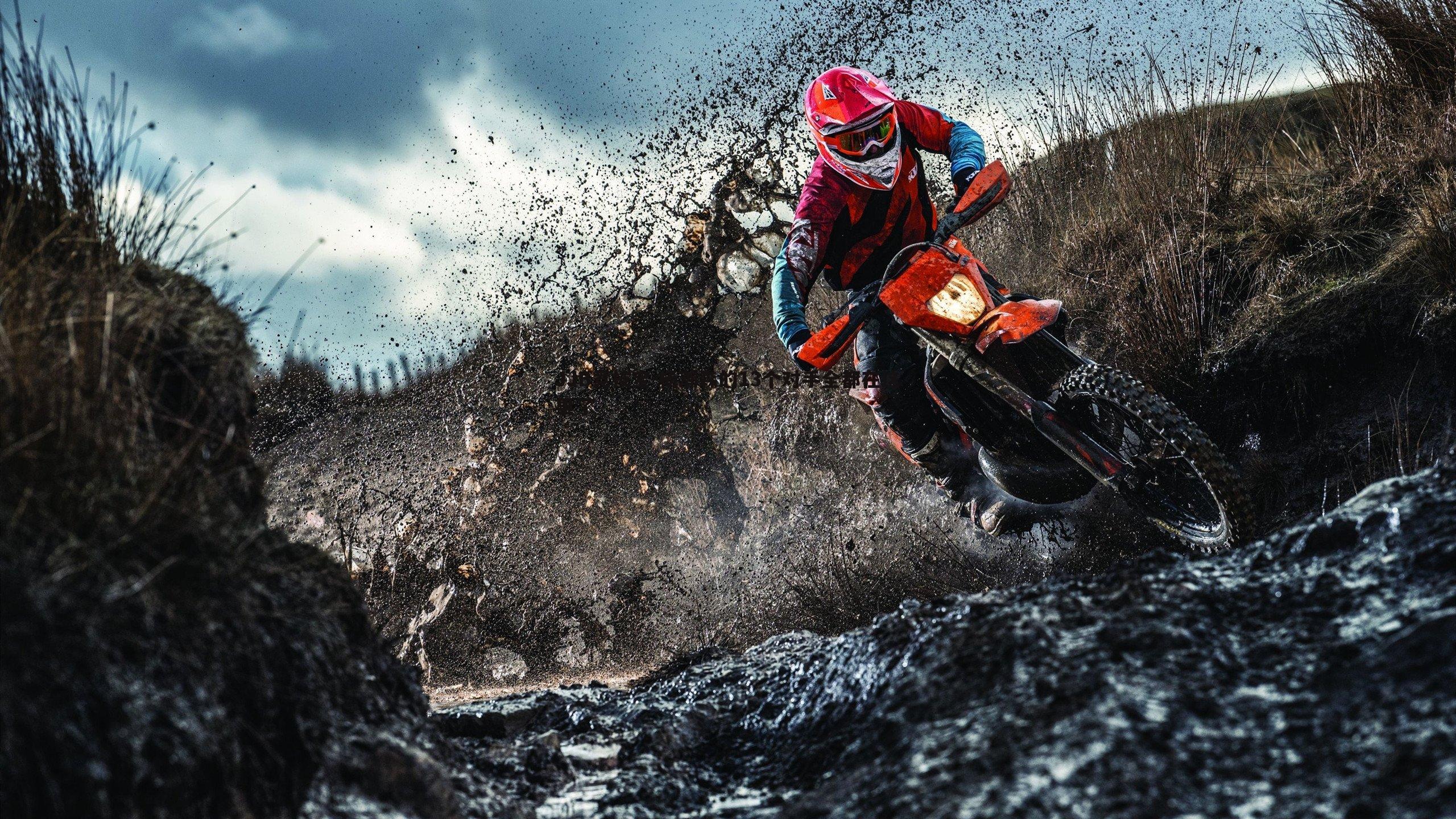 杨瀚森的13个对手全都在这里了